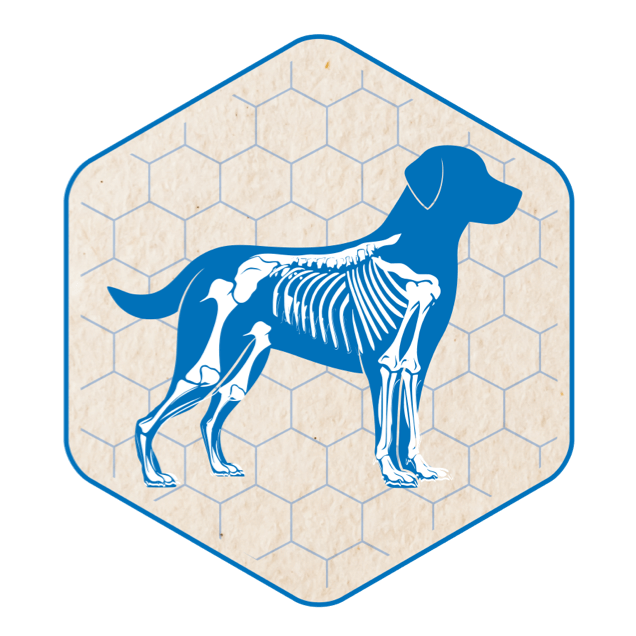 hoeveler dog icon bewegungsapparat hoeveler dog icon bewegungsapparat